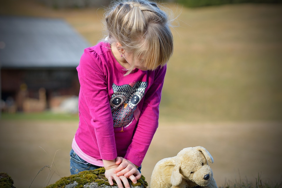Nature teddy bear cute