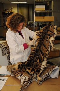Ashland Forensics Lab-1