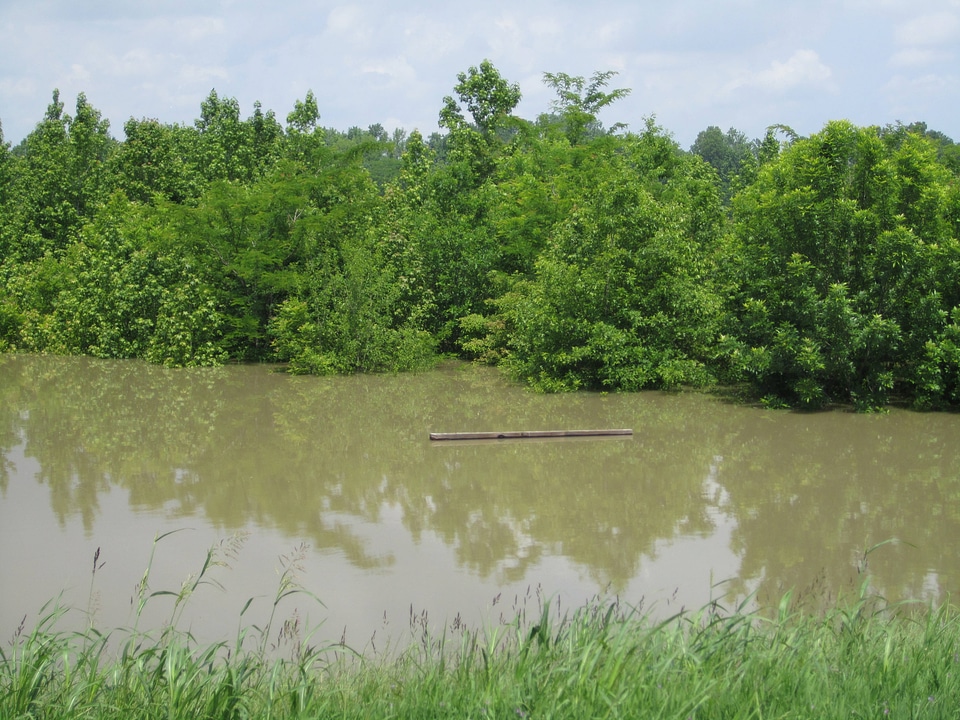 Mississippi: Ducks Unlimited sign, May 13