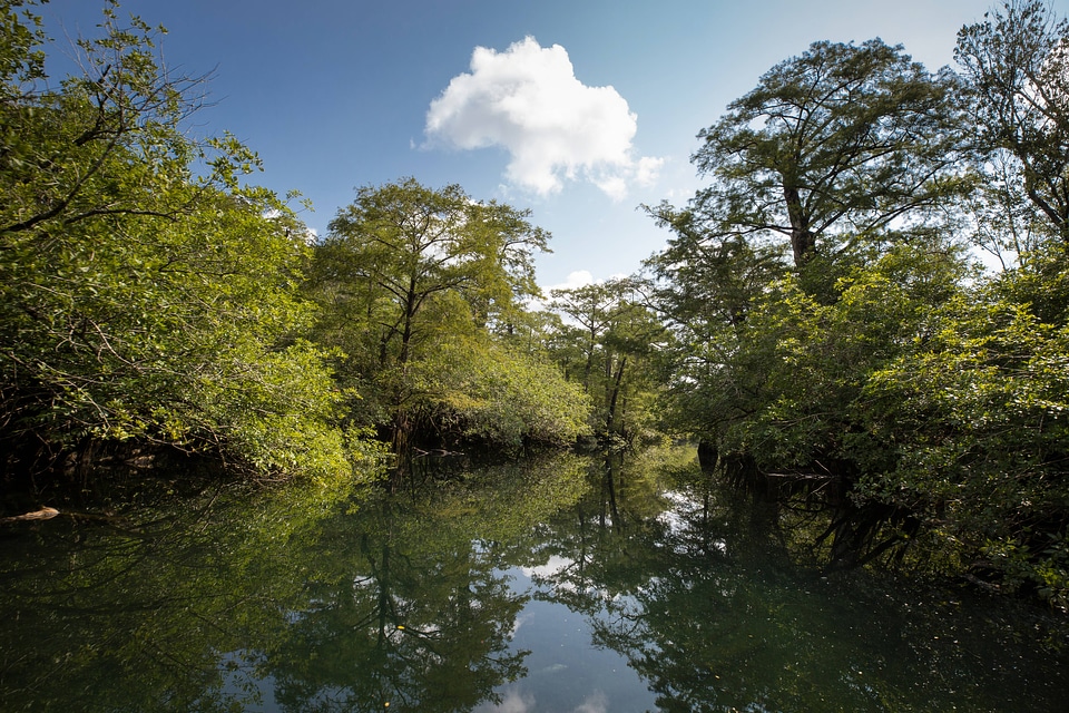 Choctawhatchee River-1