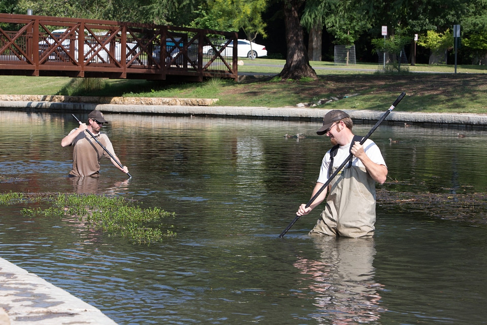 Biologists search for Fountain Darter-5