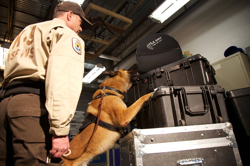 Law enforcement with K-9-1