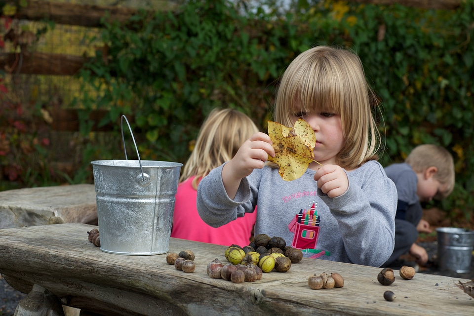 Gathering leaves and nuts