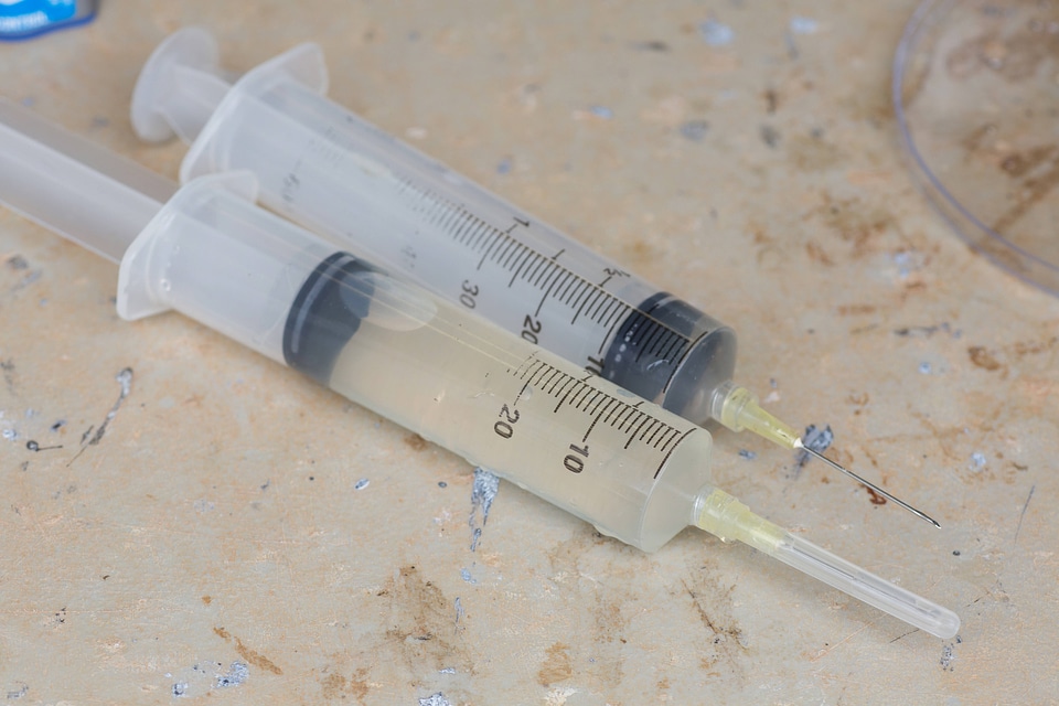 Syringes filled with clean water for harvesting glochidia