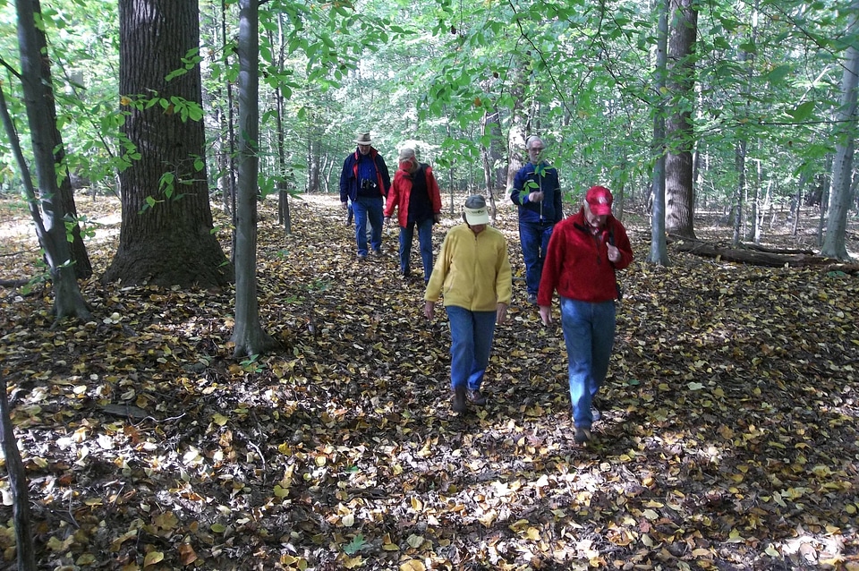 People walking on a refuge trail