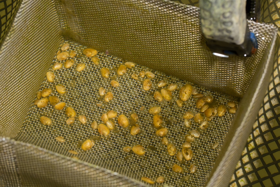 Freshwater mussel mesh cages-1