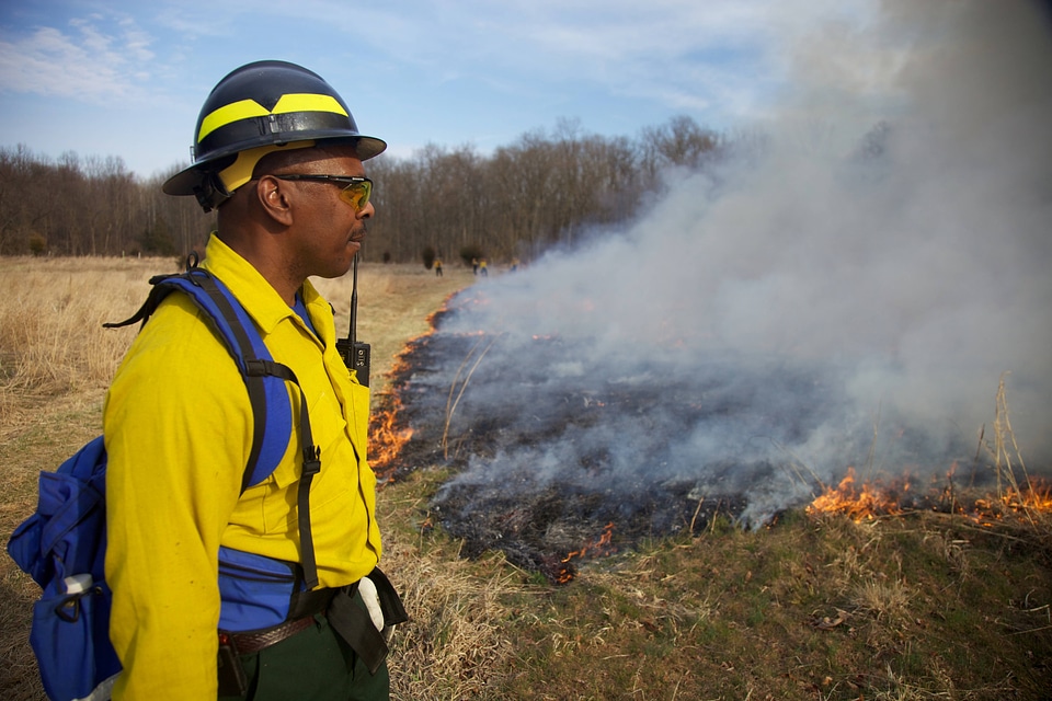 Firefighter watches burn area