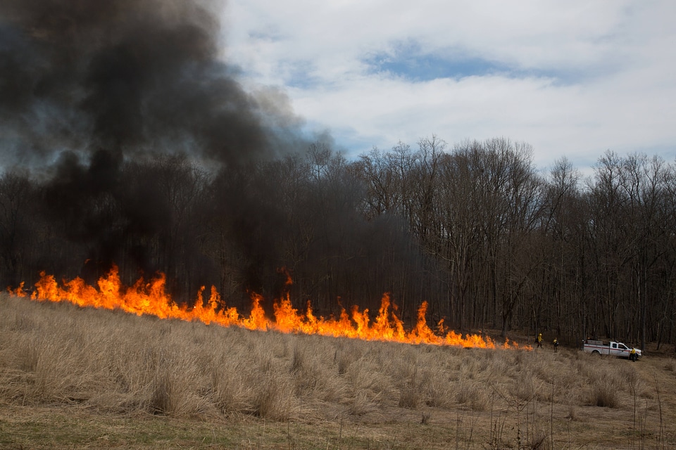 Prescribed burn at NCTC -1
