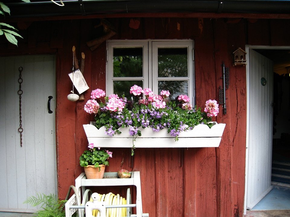 The bloom box window flowers