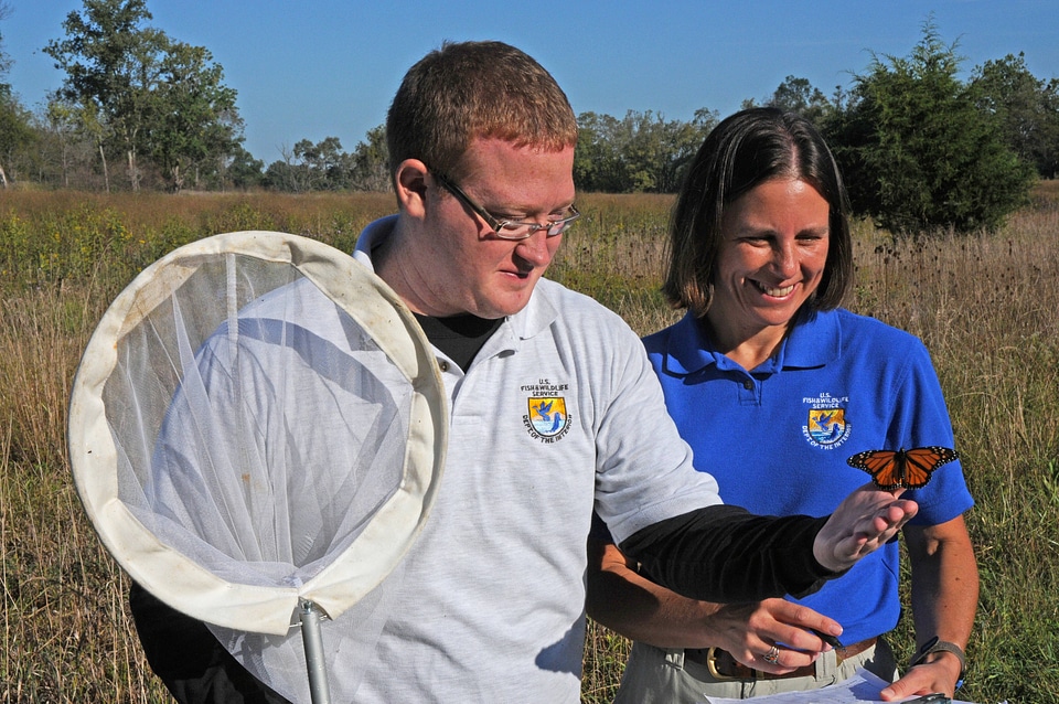 USFWS biologists hold Monarch butterfly