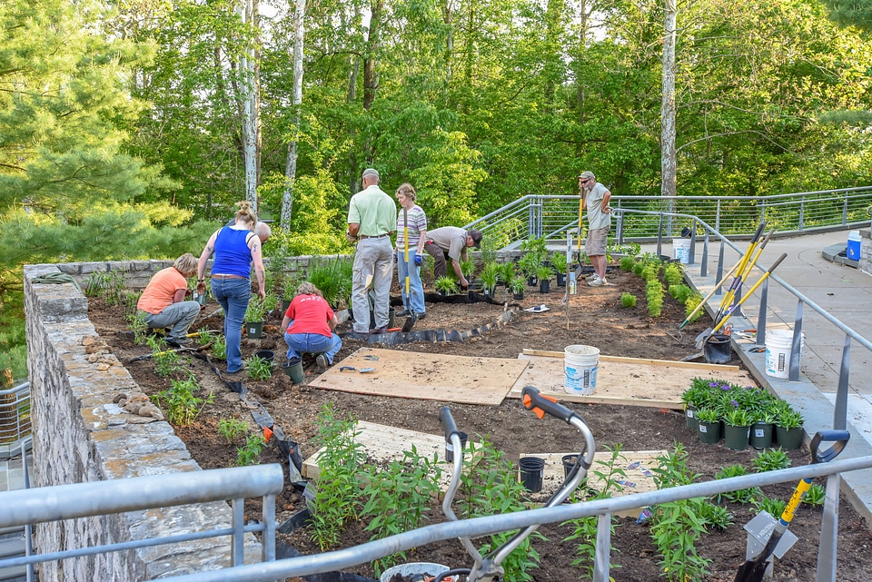Planting a monarch garden-2