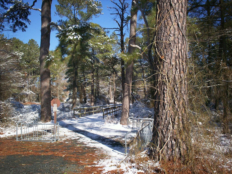Blanket of snow on a refuge trai