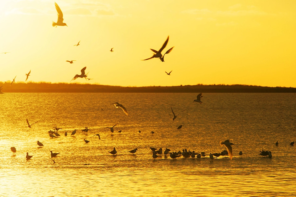 Sunset at Laguna-Atascosa National Wildlife Refuge