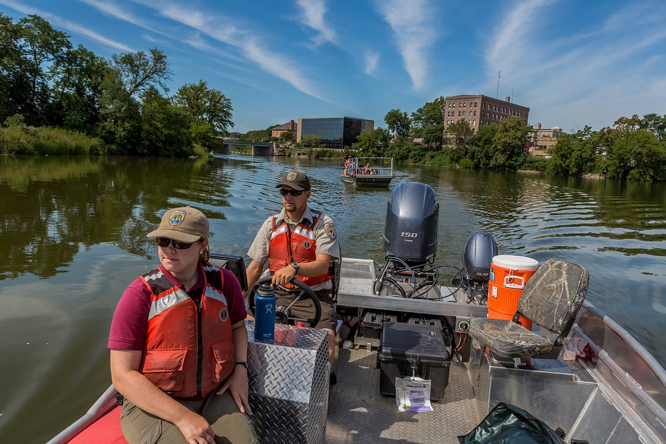 Electrofishing for invasive carp-3