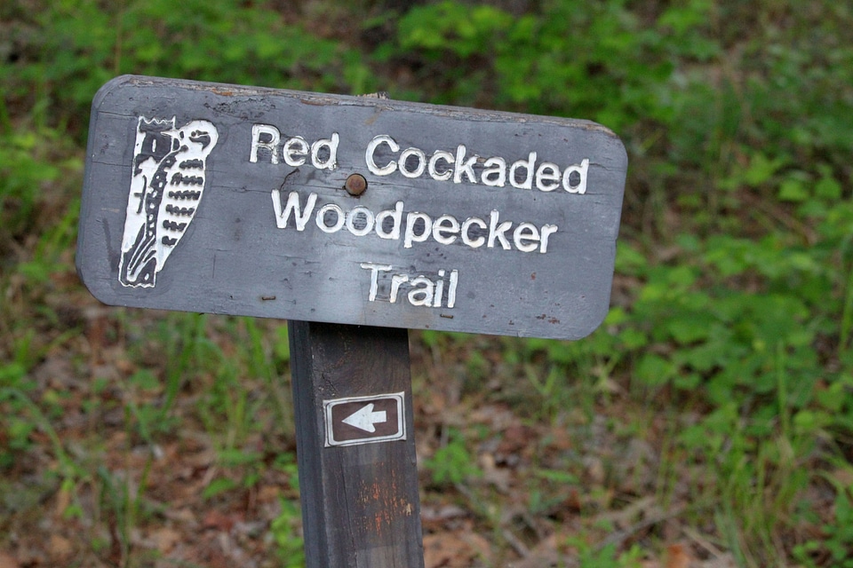 Red Cockaded Woodpecker Trail sign