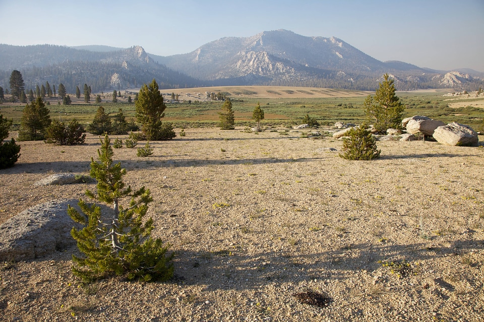 Sierra Nevada high alpine meadow-1