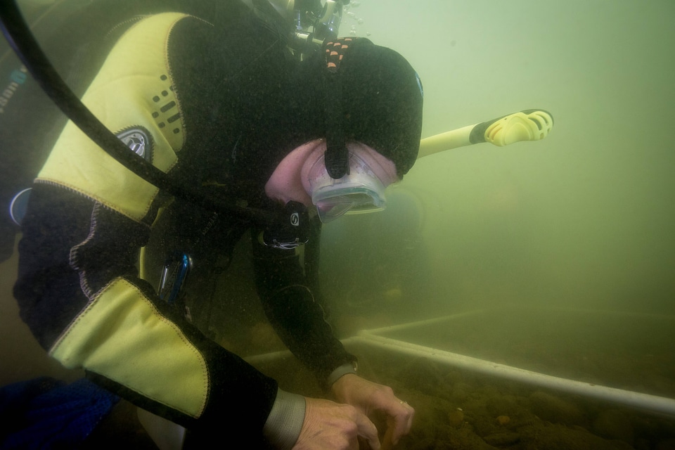Ohio River Islands biologist, Patricia Morrison, holds Purple Cat's