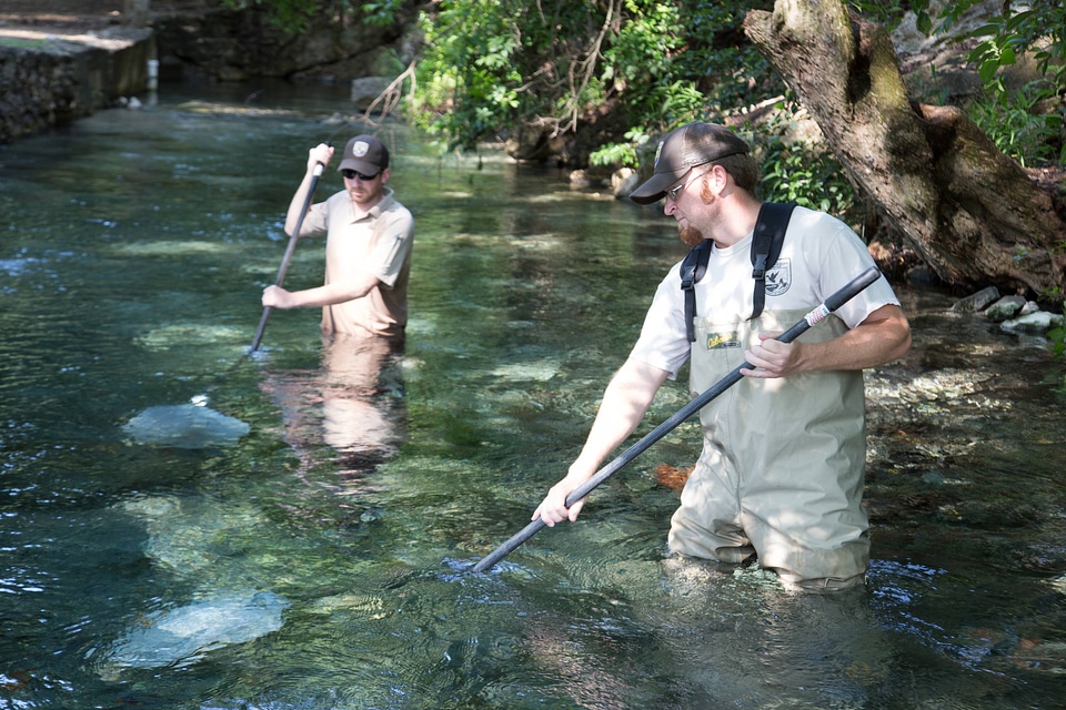 Biologists search for Fountain Darter-4