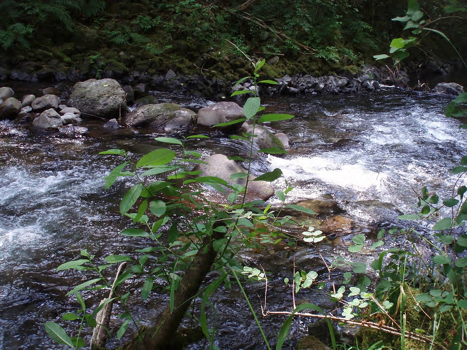 Eagle Creek