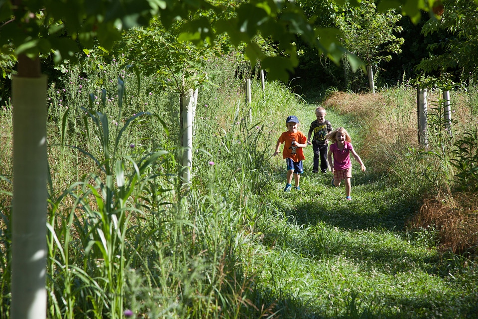 Kids run the trails
