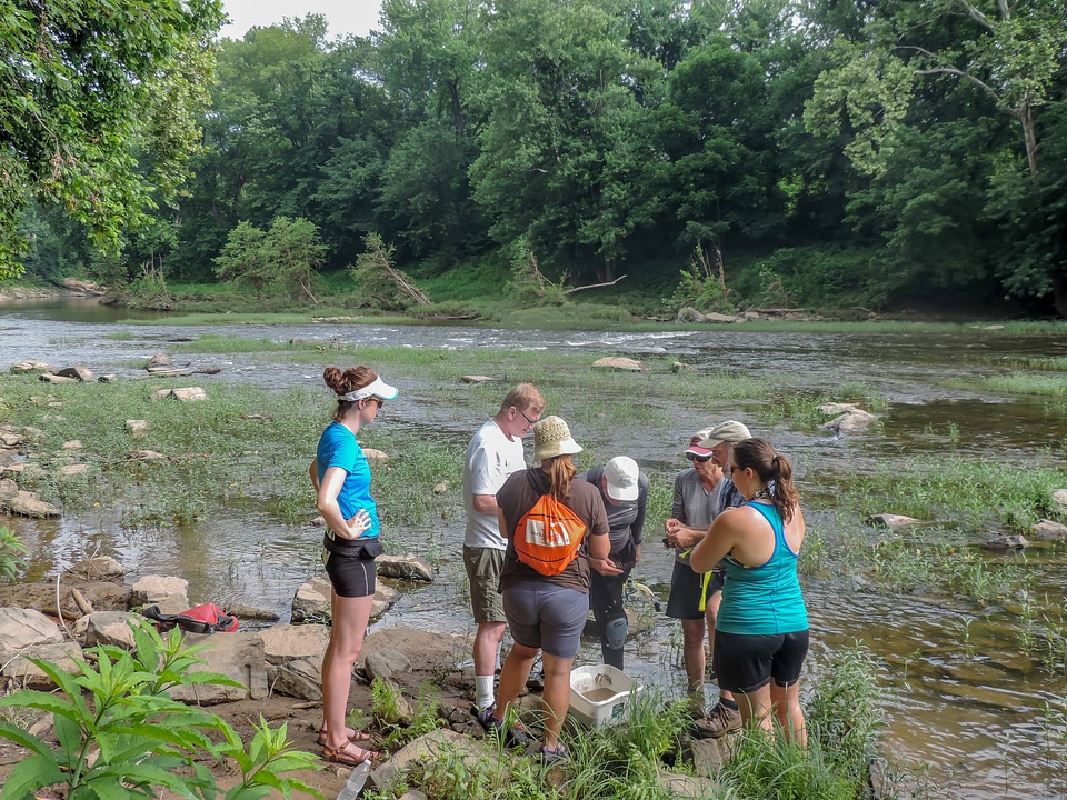 Students examine freshwater mussels on shore-1