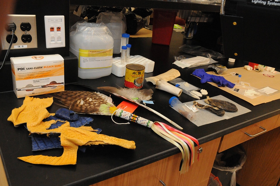 Ashland Forensics Lab-1