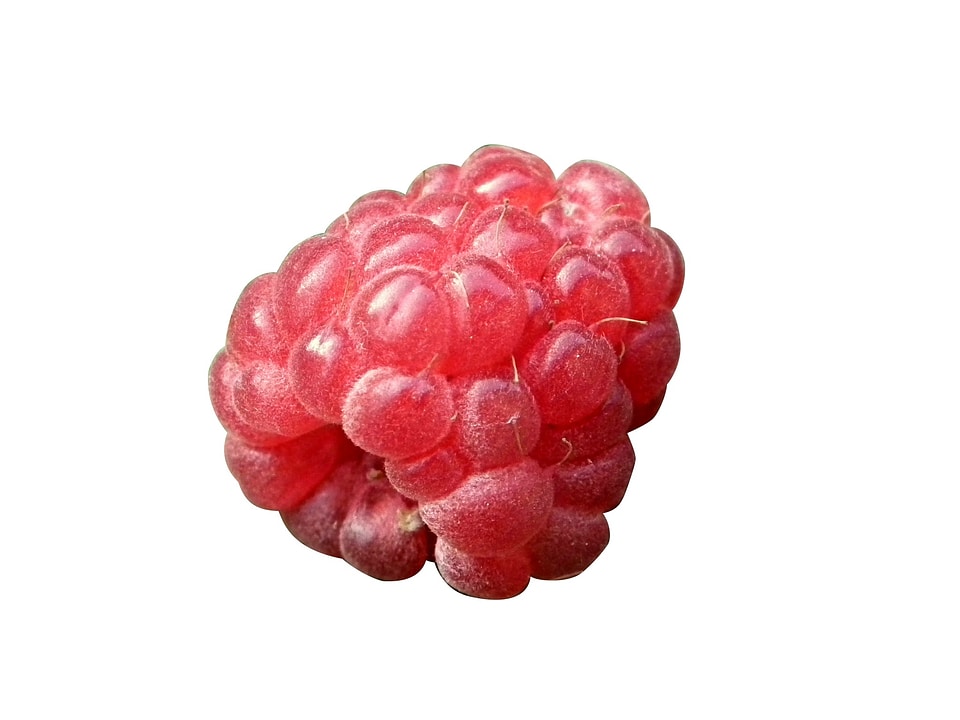 Fruits cut-out draft