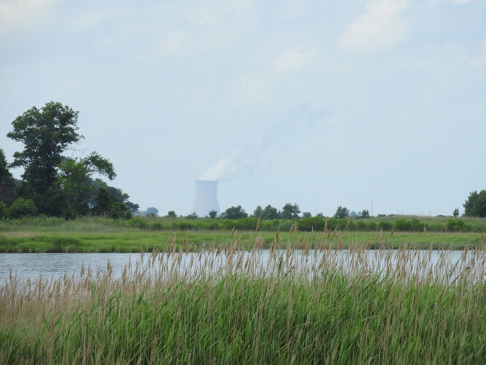 Wetland along the Wildlife drive