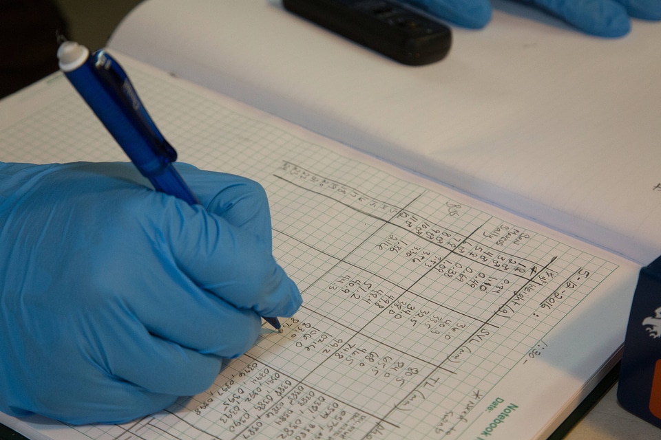 Biologists examine salamanders-5