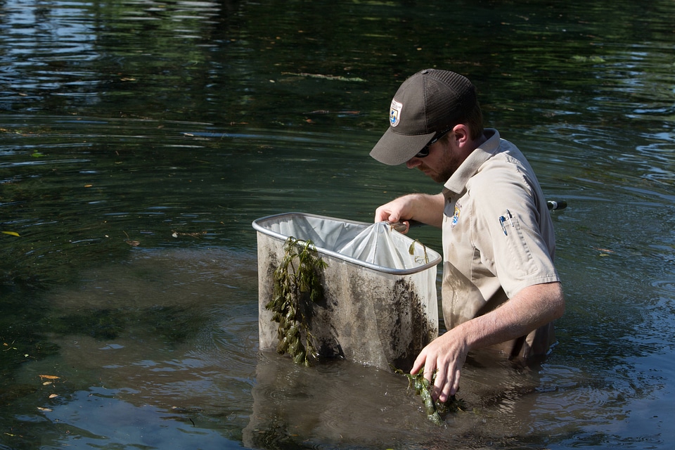 Biologists search for Fountain Darter-2