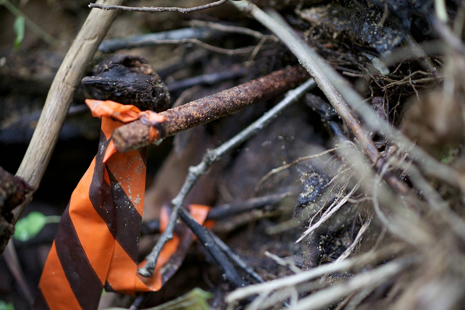 Flagging during river and stream assessment-1