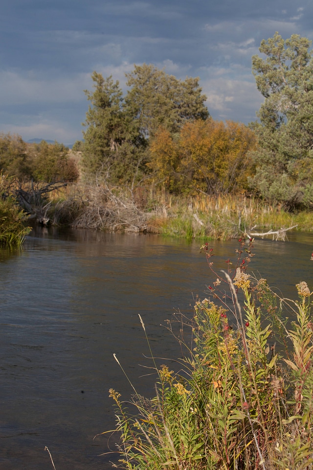 Mission Creek scenic-7