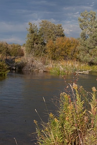 Mission Creek scenic-7