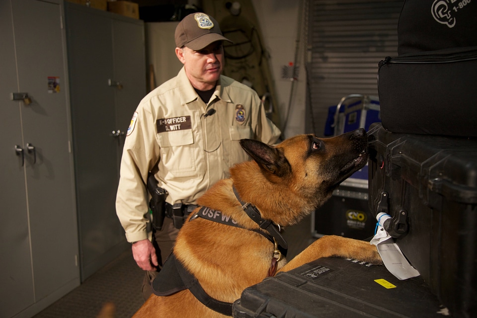 Law enforcement with K-9-2