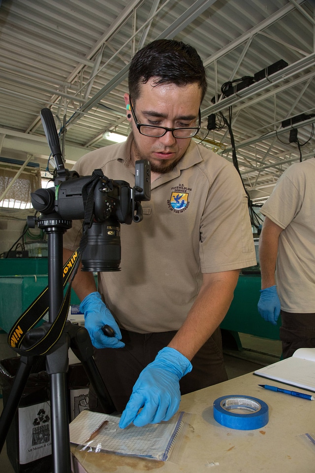 Biologists examine salamanders-3
