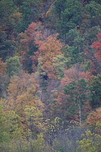 Fall colors in Harpers Ferry National Park-1
