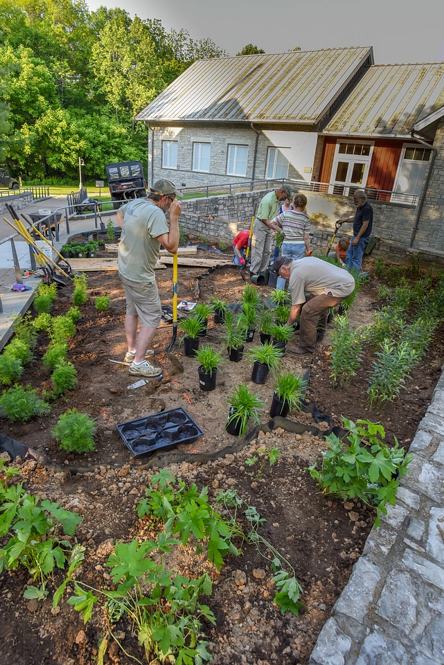 Monarch Waystation Garden-2