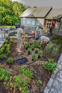 Monarch Waystation Garden-2