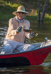 Angler with Rainbow trout on White River photo