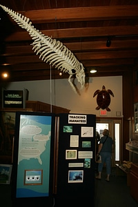 Crystal River National Wildlife Refuge Visitor Center-6