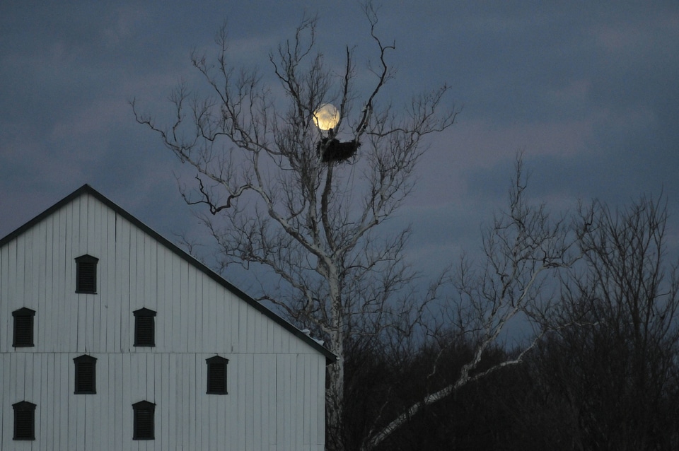 NCTC eagles nest at night-3