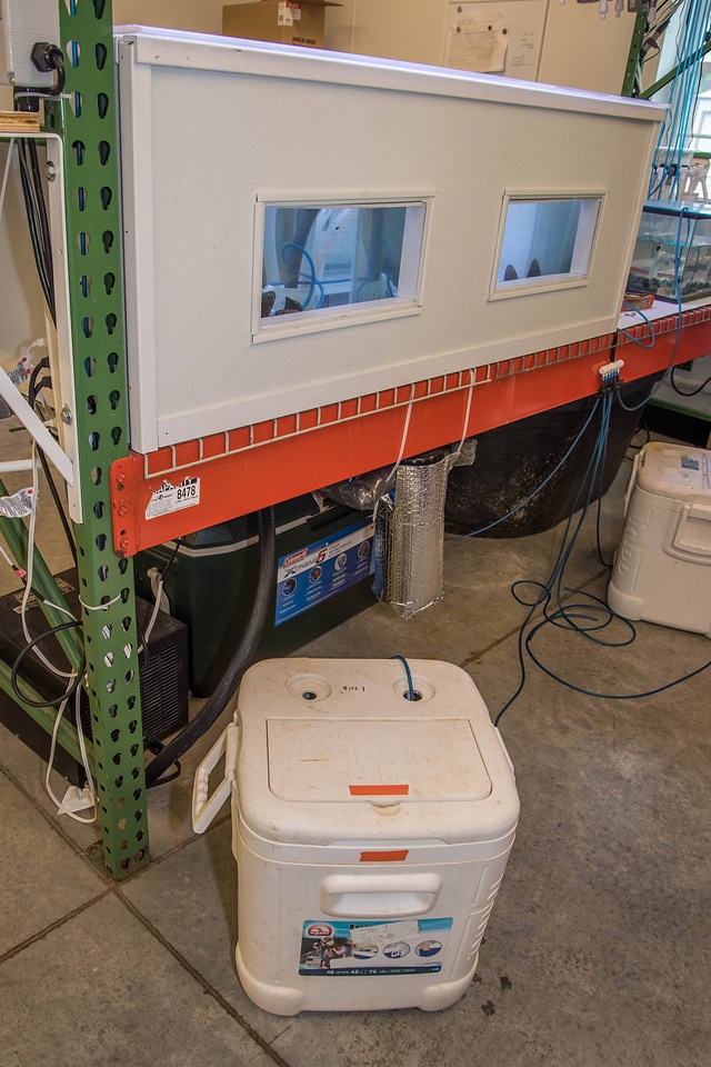 Mussel propagation equipment-2
