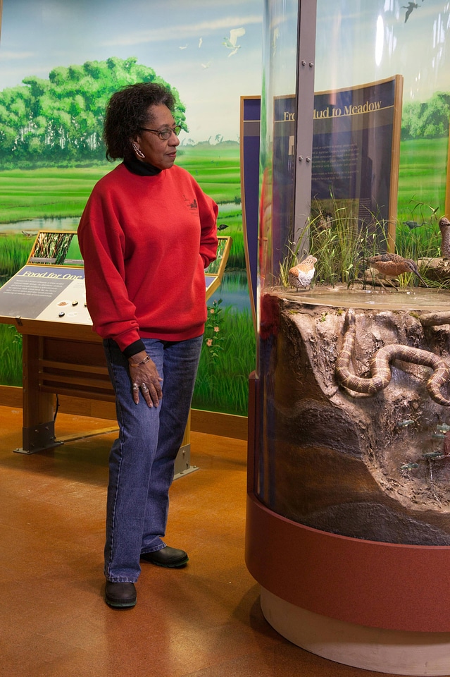 Visitor looking at an underwater interpretative exhibit