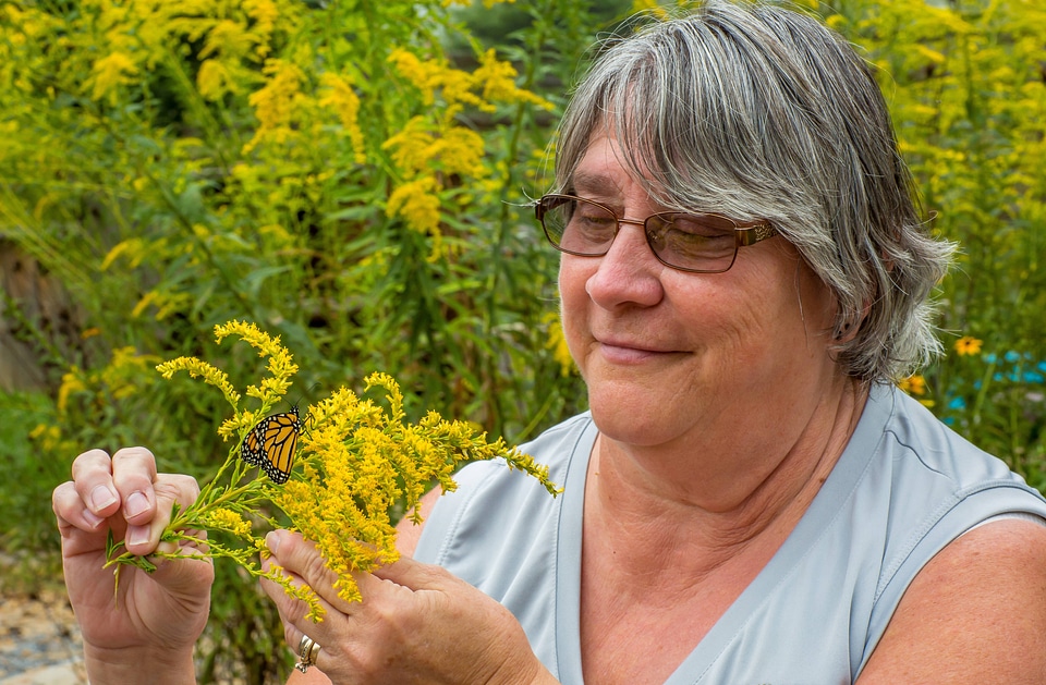 Woman holding monarch butterfly on goldenrod flower