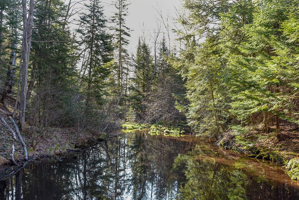 Water source at Pendills Creek National Fish Hatchery