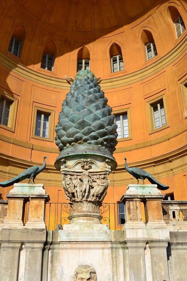 Rome peacock the vatican museums