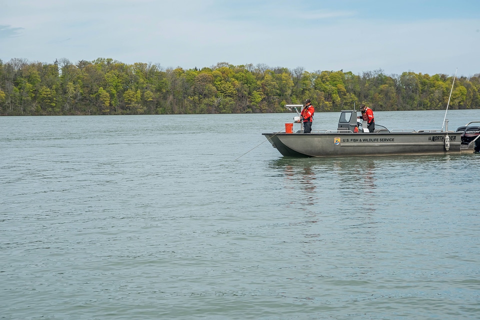 USFWS Fisheries crew in boat preparing for lake sturgeon field work-1