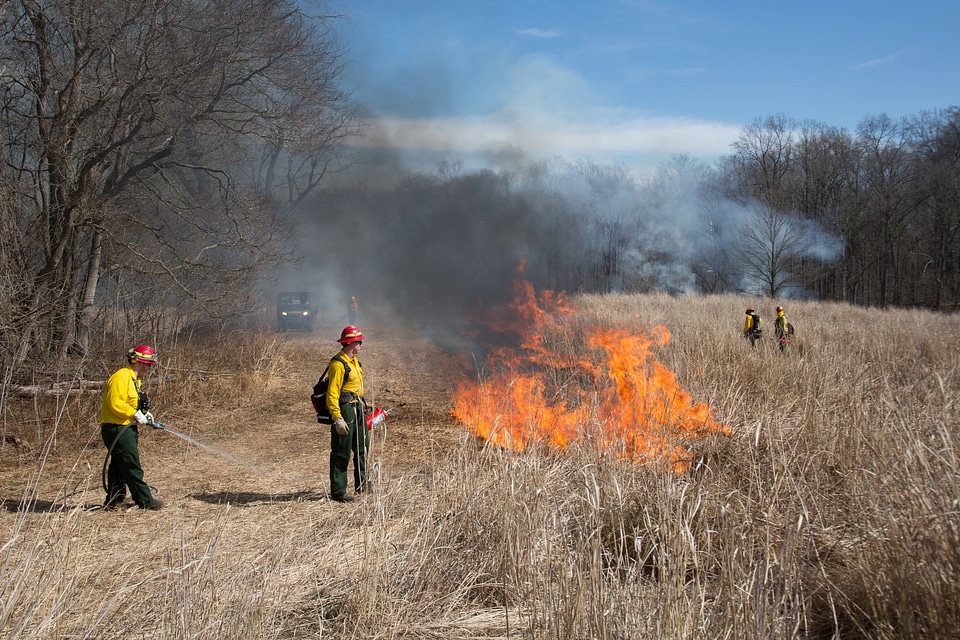 Prescribed burn at NCTC -7