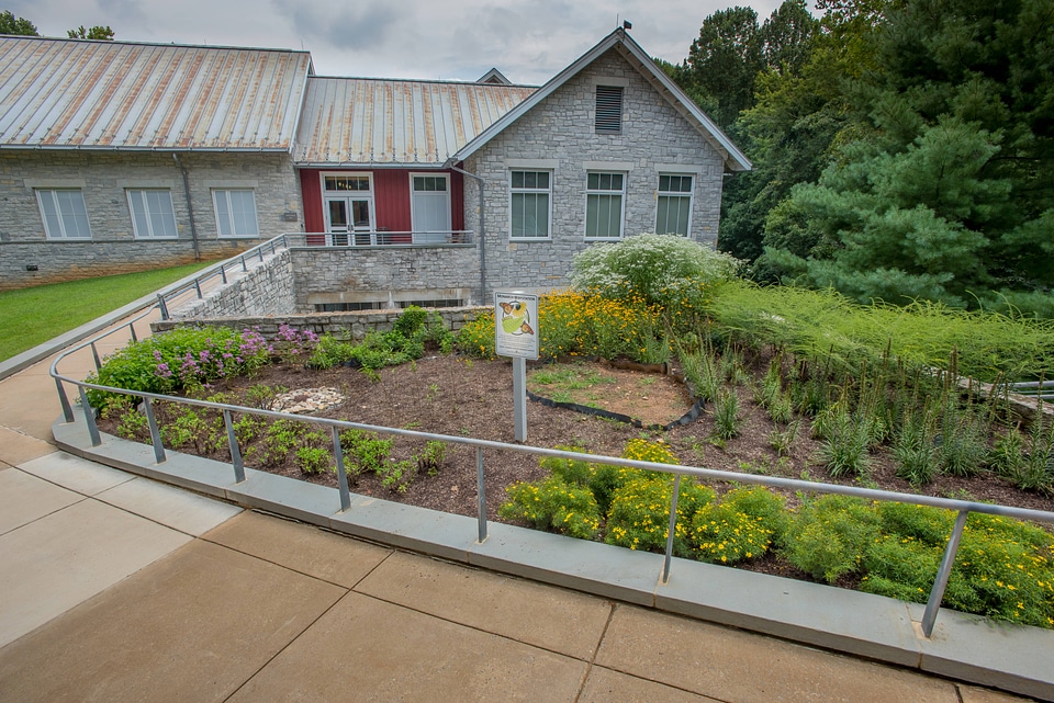Monarch Waystation Garden-1
