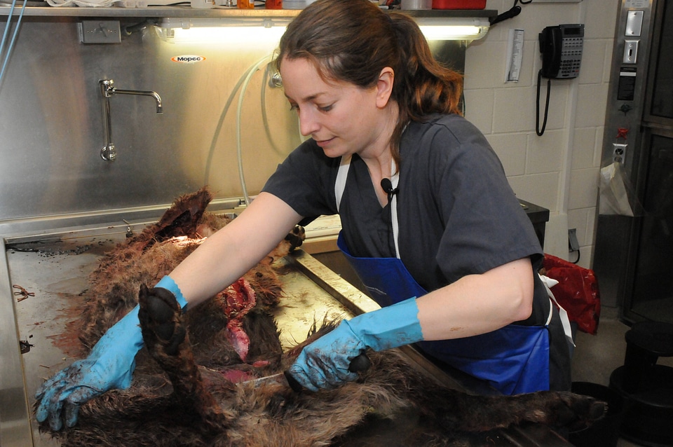 Ashland Forensics Lab-1